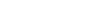 baltas logo 100-x